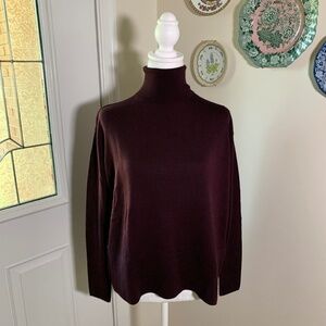 Everlane Burgundy Maroon Square Wool Turtleneck Sweater Small